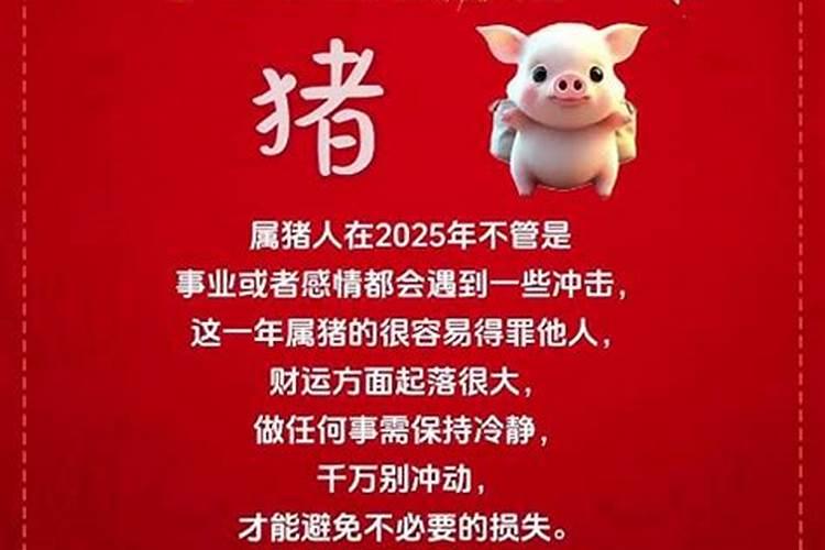 属猪2024年多大年龄 属猪人2024年运势