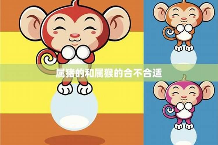 属猪和属猴相配婚姻不到头 生肖六害运势不稳
