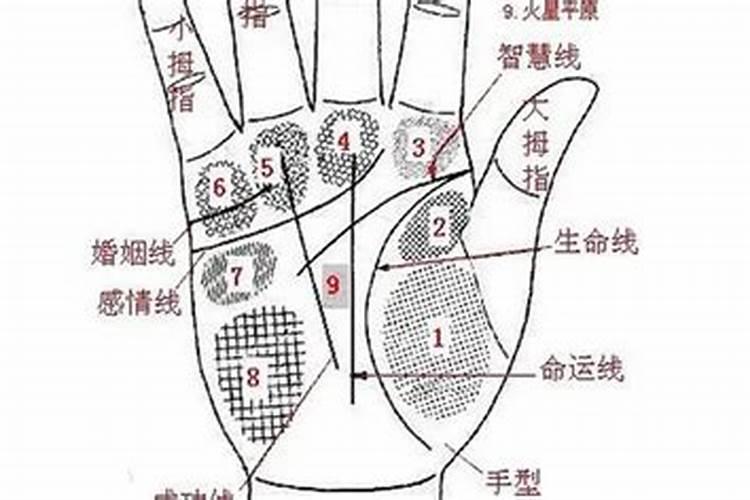 怎么看自己有几段婚姻,怎么算有几段婚姻