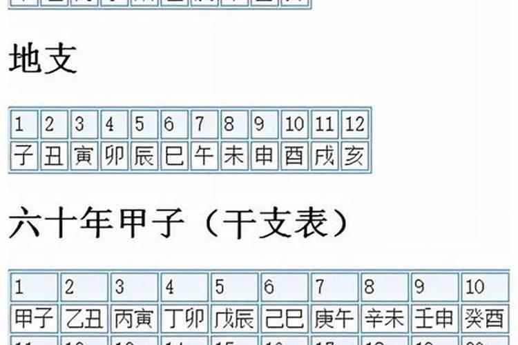 如何看懂自己的天干地支