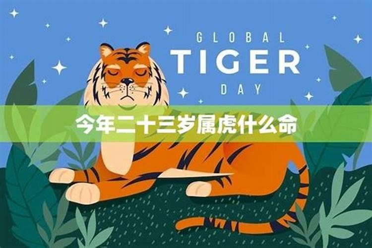 1971年阴历11月初一是什么命