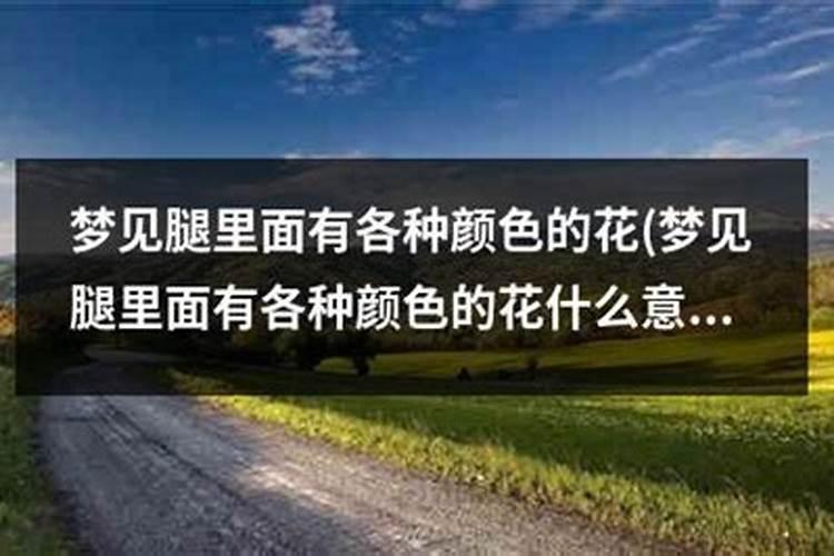梦到树上开花预示着什么,梦到树上开花好么？