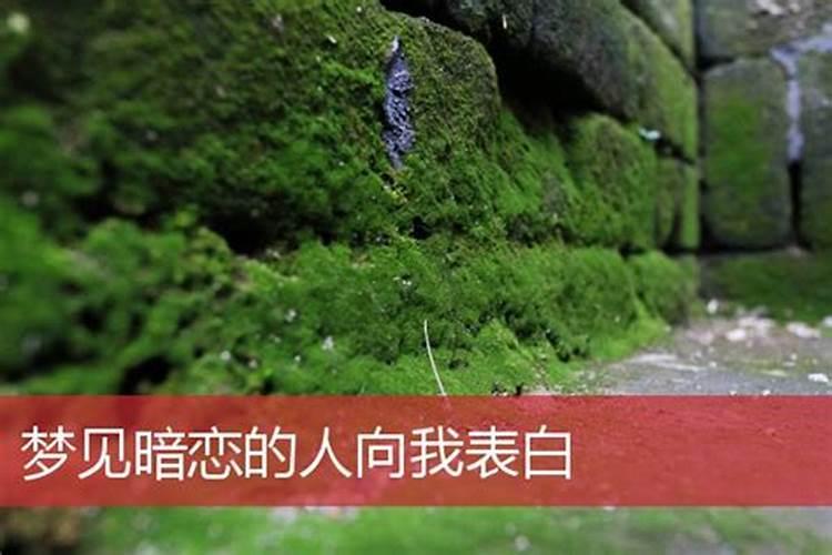 梦见被女人示爱的预兆