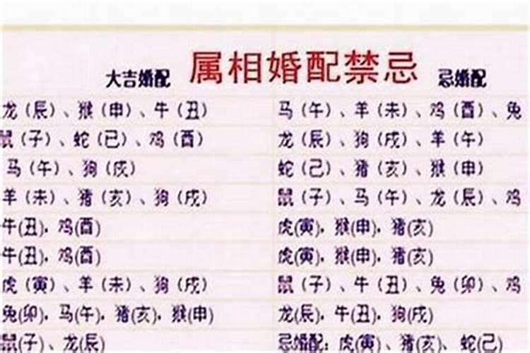偏印夺食