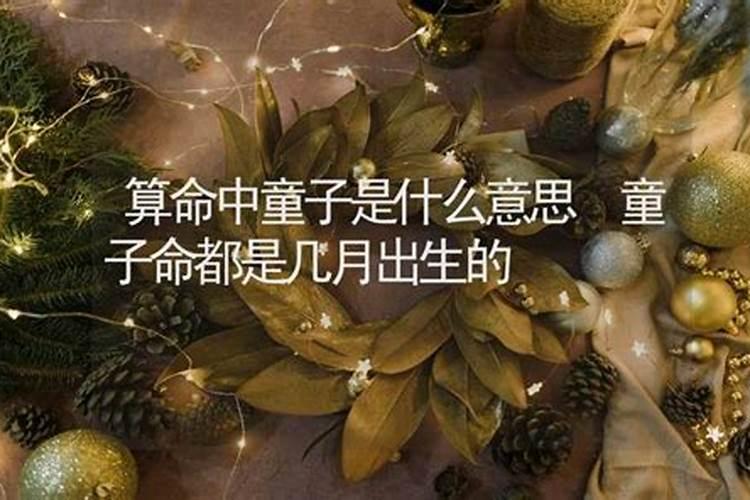 1991年腊月20出生的人是童子命吗