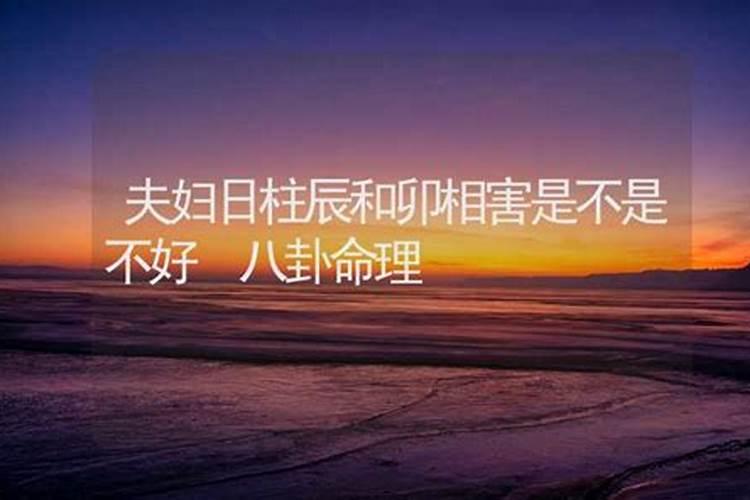 属鼠的人2025年运势及运程