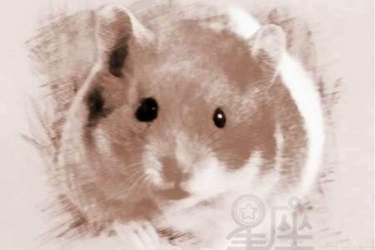 善于社交的八字 什么八字交际厉害？
