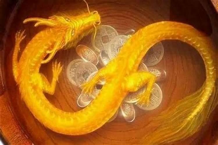 龙最佳婚配属相是什么