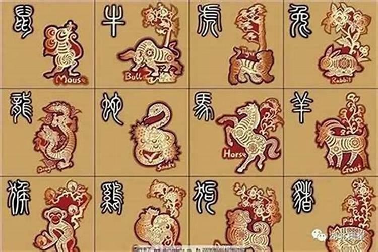 2018年是金猪年吗
