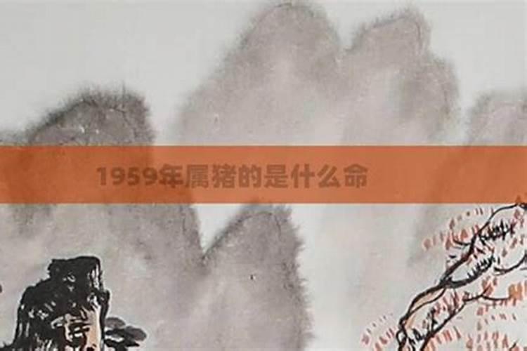 怀孕的人梦见掉牙什么意思  百度宝宝知道