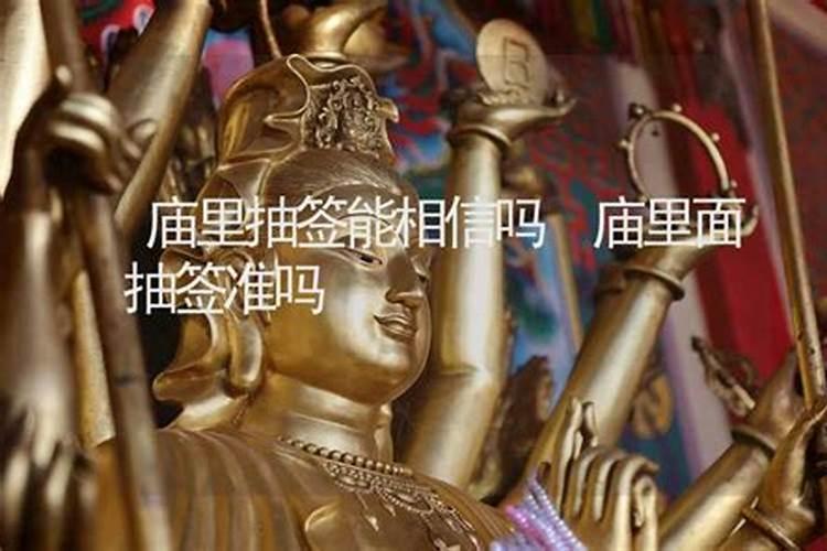 属鸡人财运和命运怎么样 属鸡的人一生财运怎么样