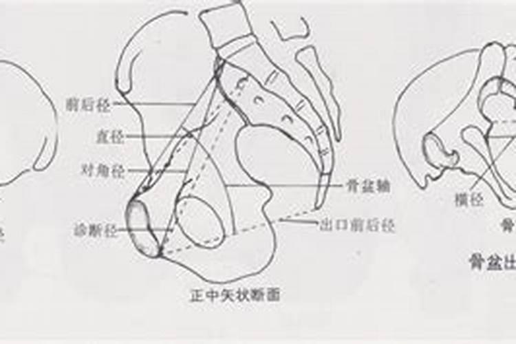 什么是童子命？