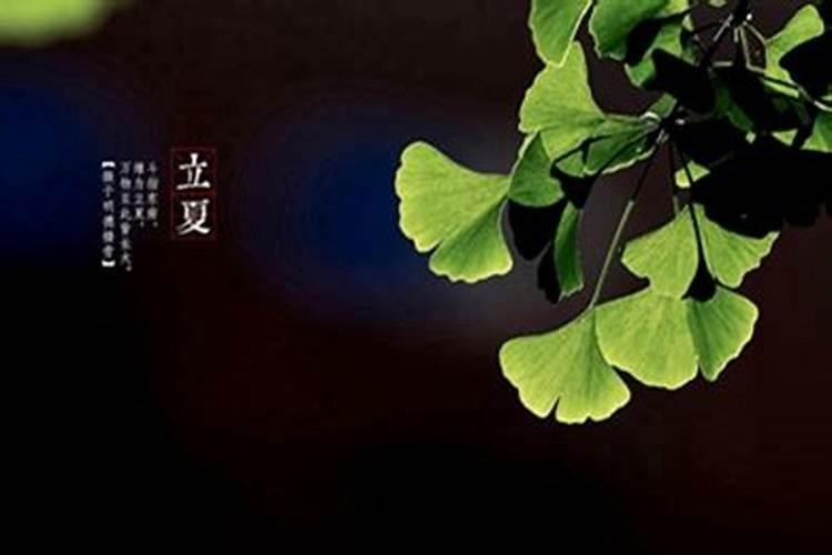 82年的狗2025年运势