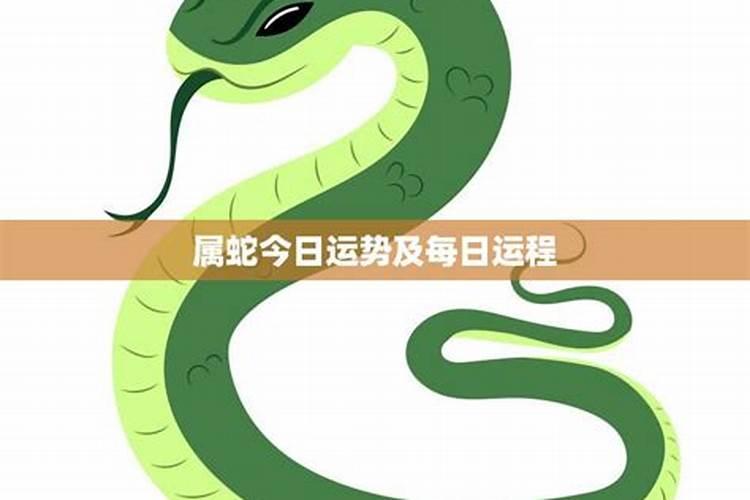 十二星座的每日运势