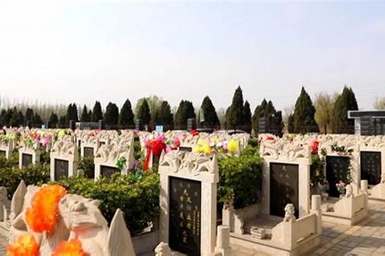 属虎2025年犯太岁怎么化解