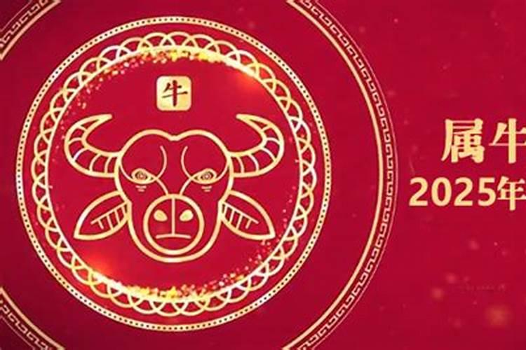 2025属牛人每月运势及运程如何