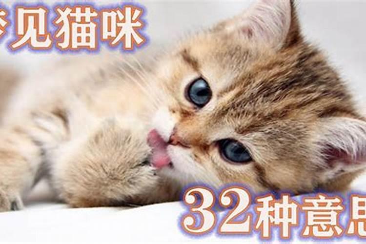 罗盘看阳宅用多少层