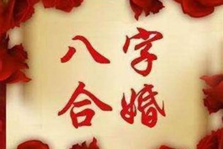 八字不合的两个人会怎么样