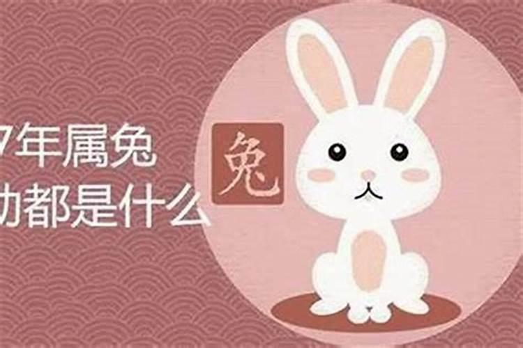 1987年属兔2025年的运势及运程如何