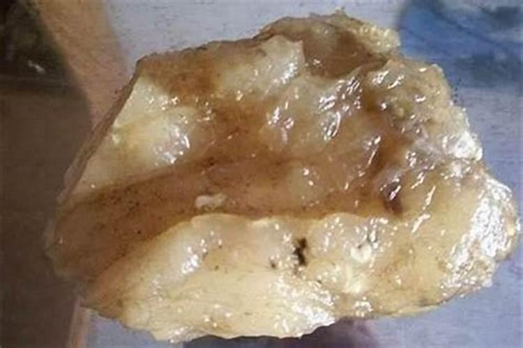 属蛇哪年出生列表,12生肖配对查询表
