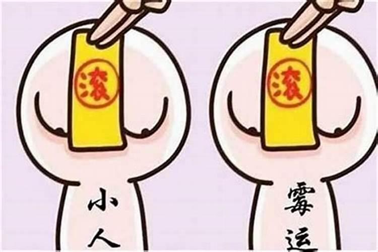 十二属相2024龙年排行榜!你是第几名？