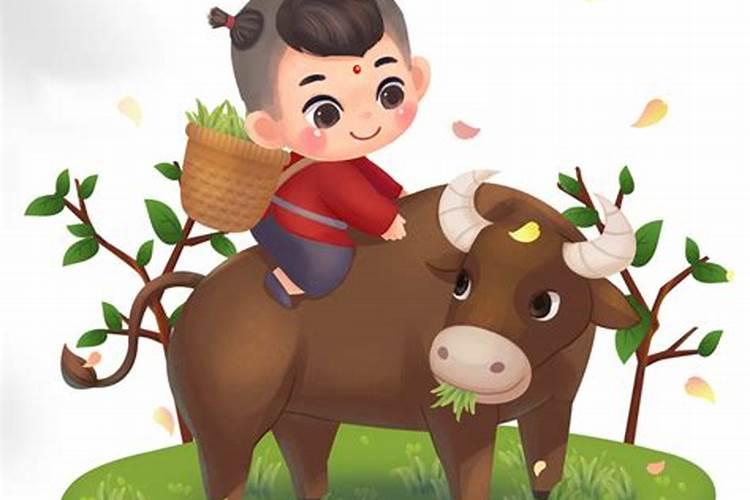 清明节出生的牛宝宝好吗怎么取名