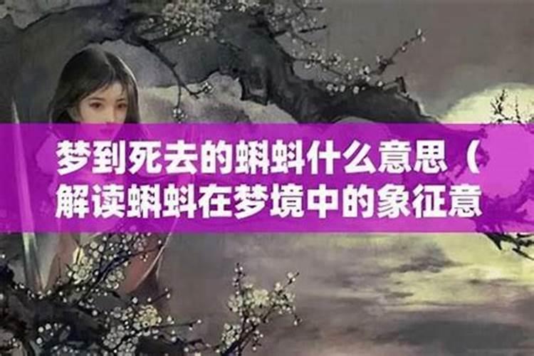 白松人物介绍