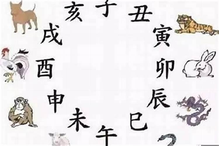 属鼠男和属马女的婚姻怎么样 是否幸福