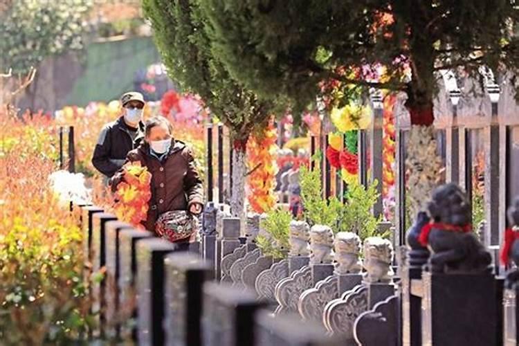 清明祭祖是烧纸好还是放鲜花好