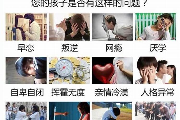 属羊人遇兔年2023运势如何