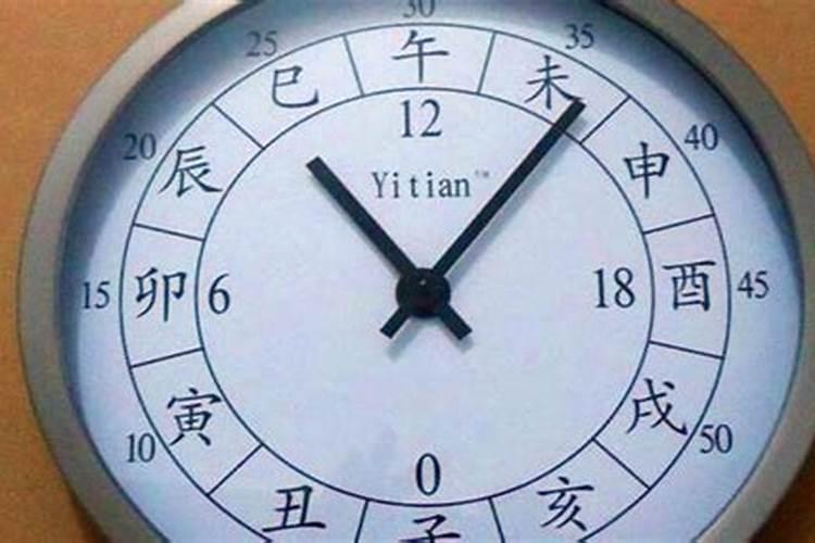 猪和兔合不合