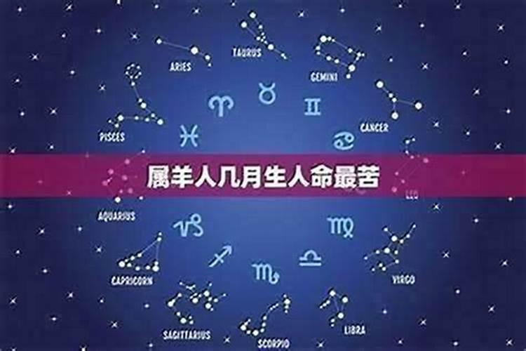 2015年出生的属什么？