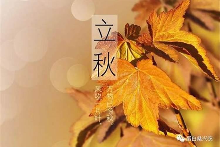 秋处露秋寒霜降的秋是什么意思