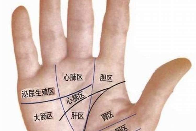 女人右手掌纹图解算命婚姻线 咋看女人右手的婚姻线？