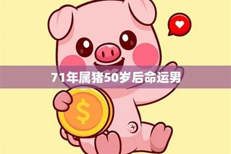 2025属猪的全年运势 2025年属猪人运势如何