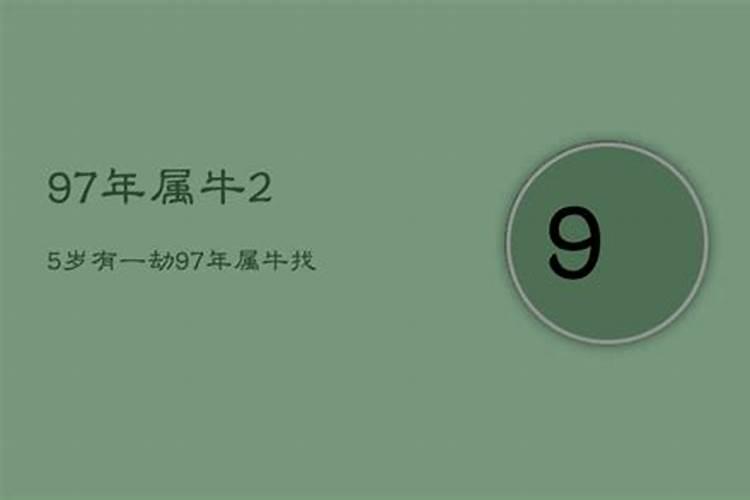 1997属牛2025年运势及运程