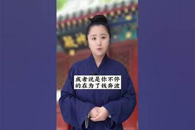 什么属相最旺属兔的财运