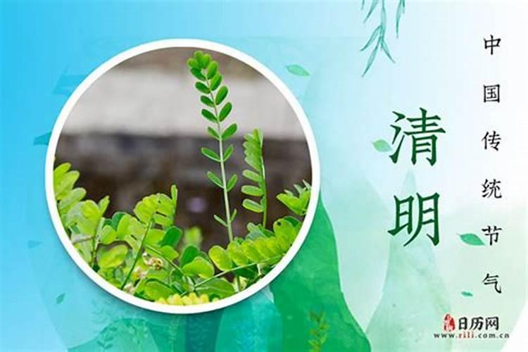 日柱带童子是什么意思 什么是日柱带童子