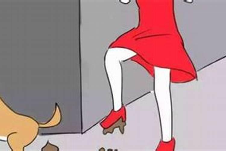 踩到狗屎意味着什么