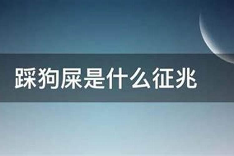 不小心踩到狗屎是什么意思啊？