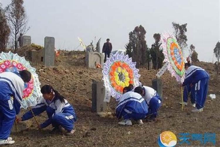 哪个属相女人命运最好,十二生肖中最好命的生肖有哪些
