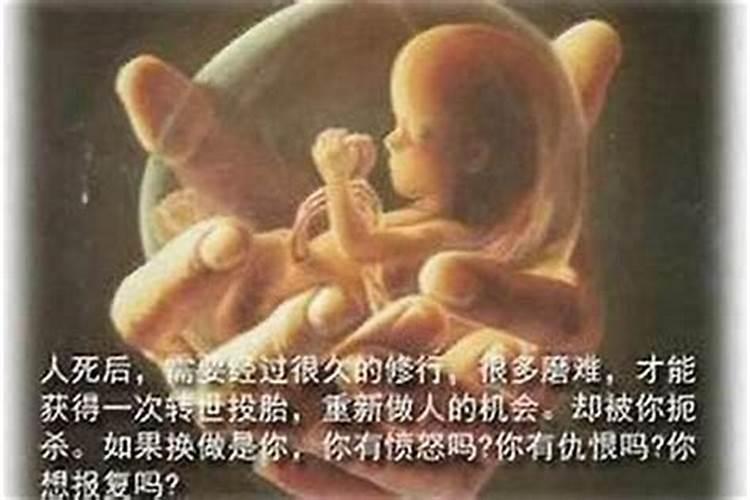 北京哪个寺庙可以超度堕胎婴灵,哪个超度的好？