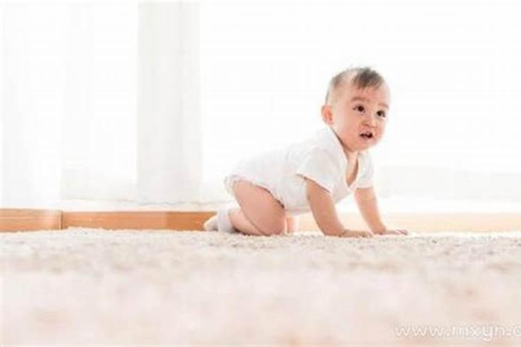 梦见老虎狮子是什么预兆