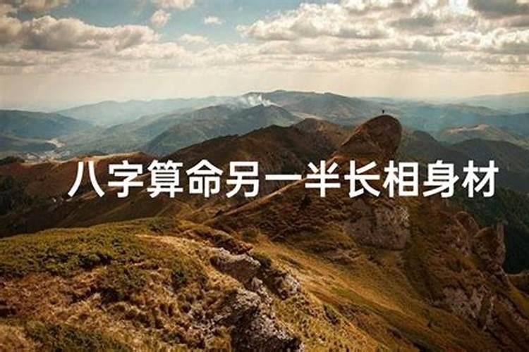 我是1984年阳历11月19日生的,问下今年运气怎么样。本人是女的。单身...