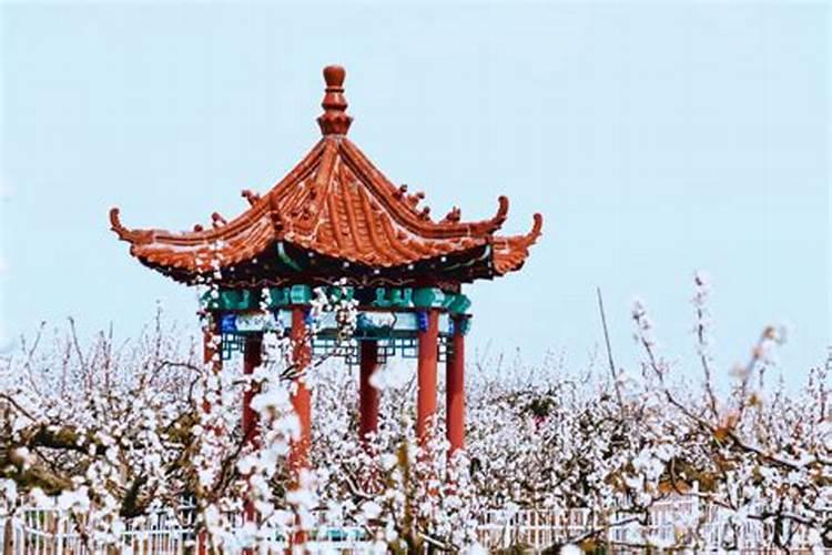 鼠年犯太岁的四个属相