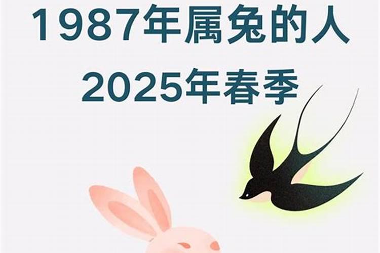 87年男兔2025年的婚姻和命运