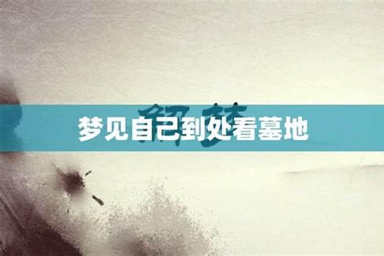 梦见许多坟墓有什么预兆 梦见许多坟墓好还是不好