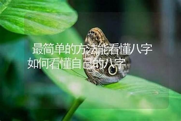 数字八字算命方法详解