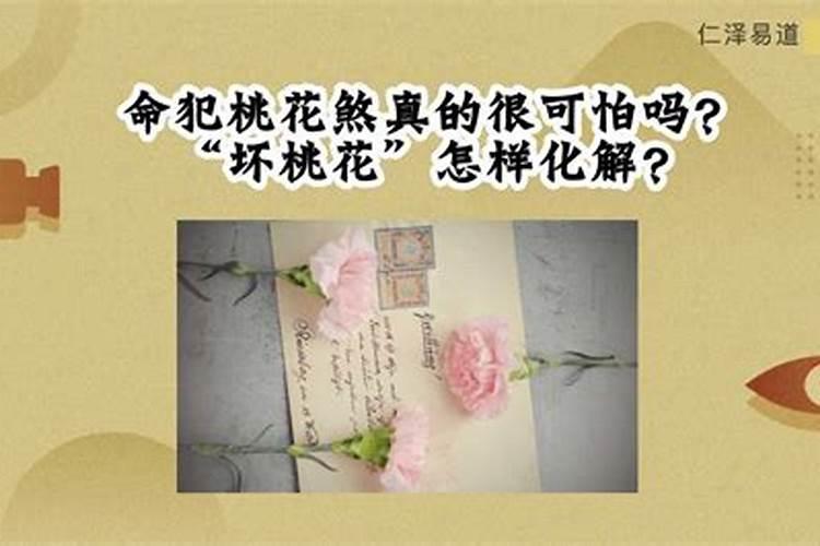 冬至三候水泉动是什么意思 山中泉可流动且温热？