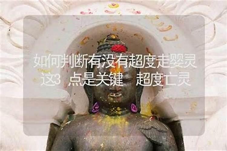利川烟花2025年什么时候放